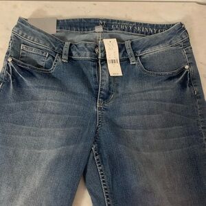 New York & Company Blue Skinny Jeans